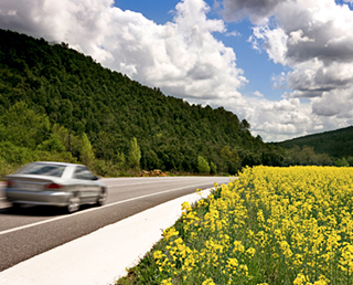 Biofuels, a renewable alternative